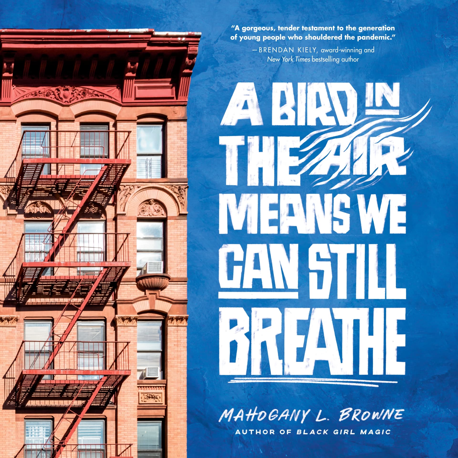 A Bird in the Air Means We Can Still Breathe audiobook cover art